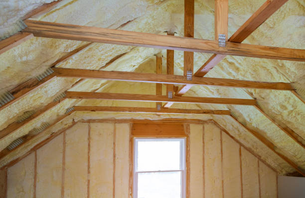 Best Insulation Maintenance and Repair in Bridgeport, AL